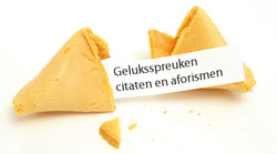Geluk, citaten en aforismen