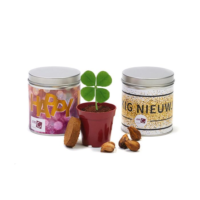 Geluksklaverkweekset in blik