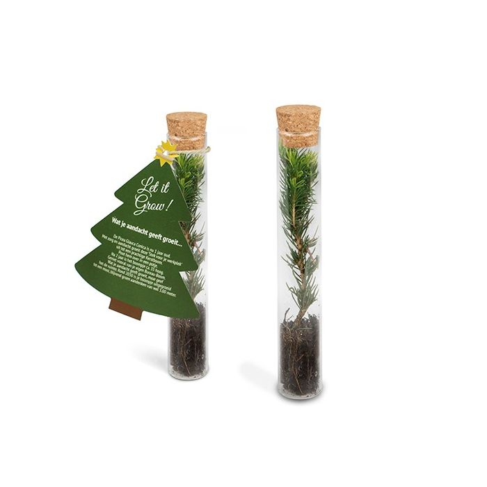 Kerstboom in tube