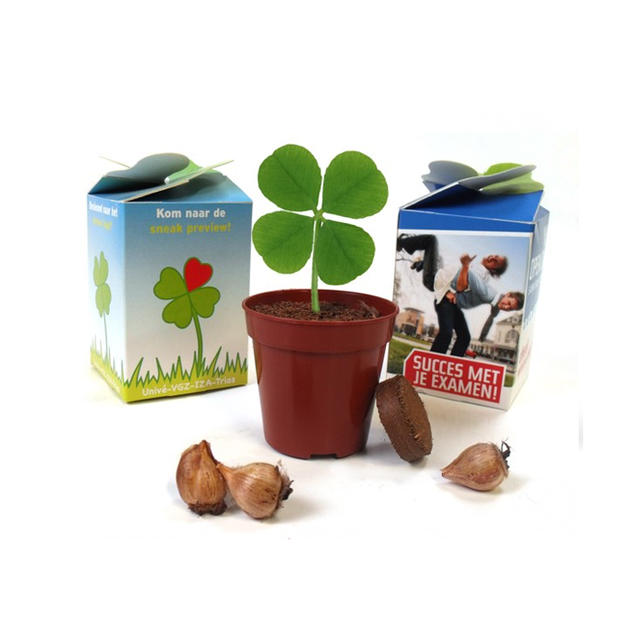 Geluksklavers in eigen doosje