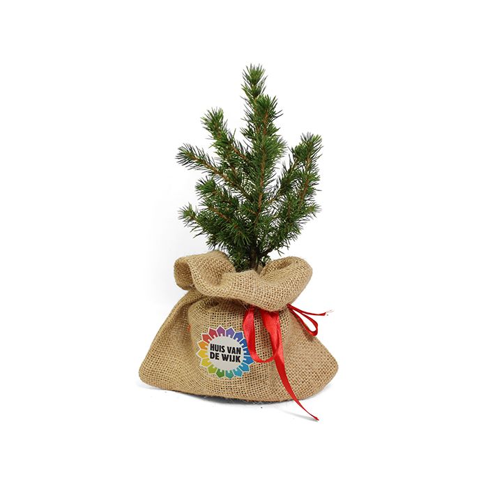 Kerstboom