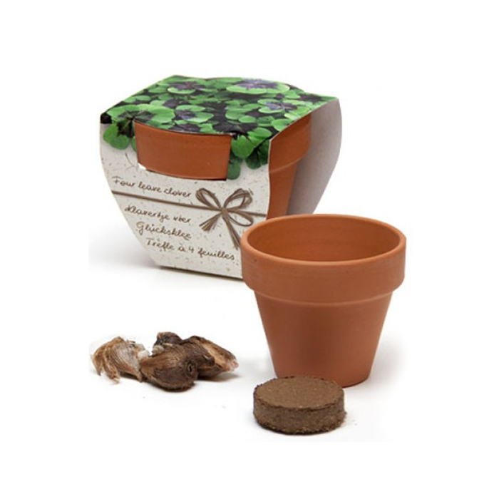 Klavertje vier in potje