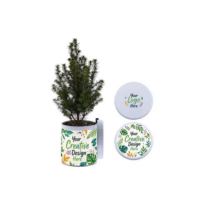 Kerstboompje 