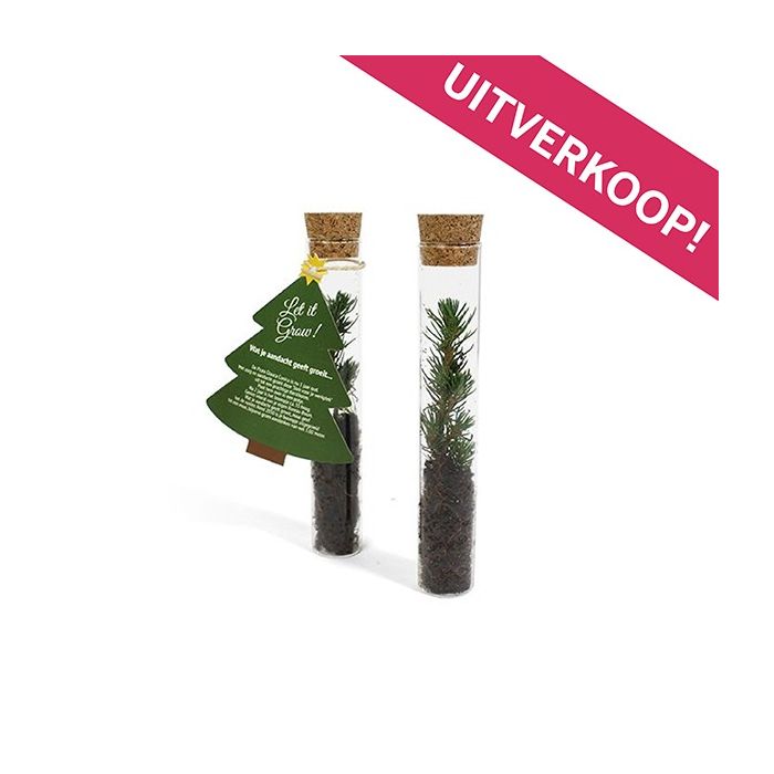 Kerstboom - uitverkoop