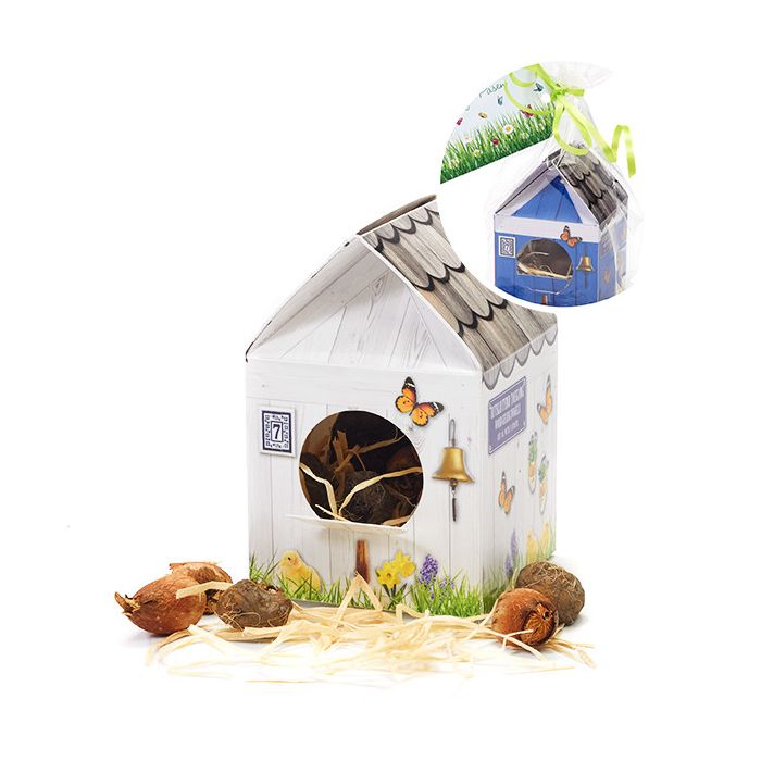 Vogelhuisje met bloembollen