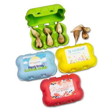 Eierdoosje met bloembollen