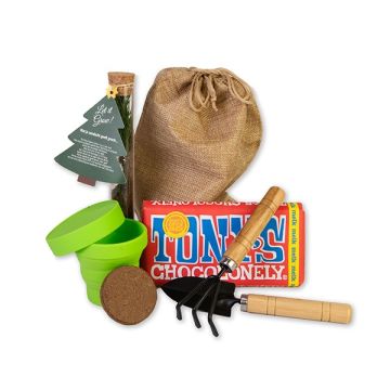 Plant je eigen kerstboom