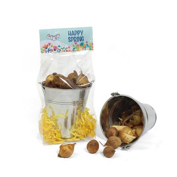 Zinken emmertje met bloembollen