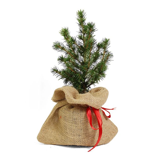 Bureau kerstboompje in jute zak