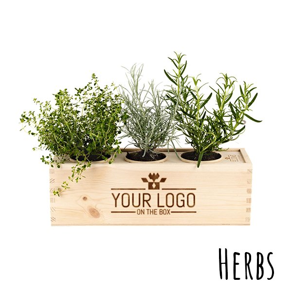 Herbs