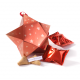 Medium ster met 5 fortune cookies - rood