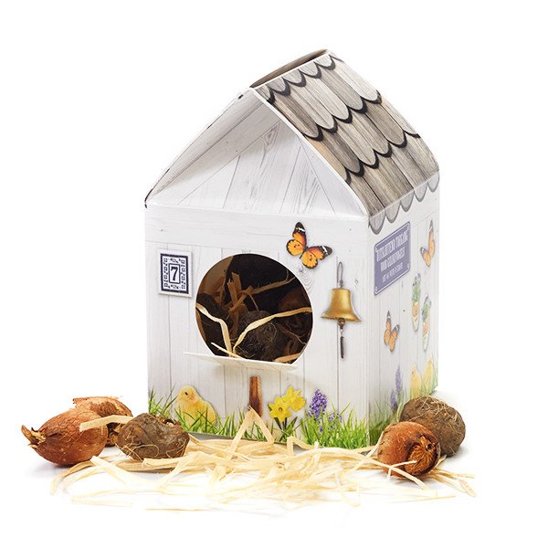 Vogelhuisje met bloembolletjes