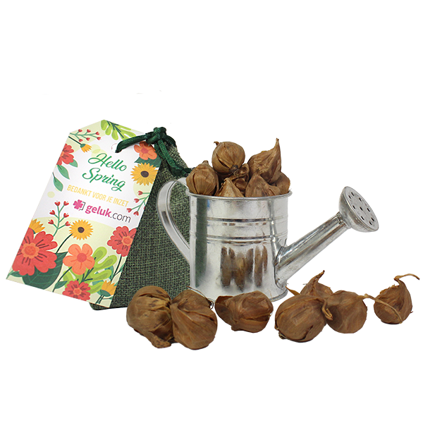 Voorjaars<br/>geschenken