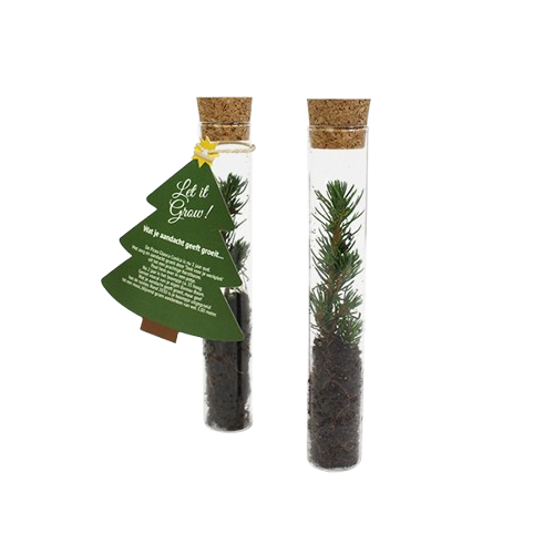 Kerstboom als geschenk 