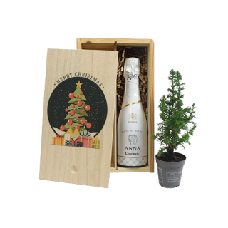 Kerstgeschenken