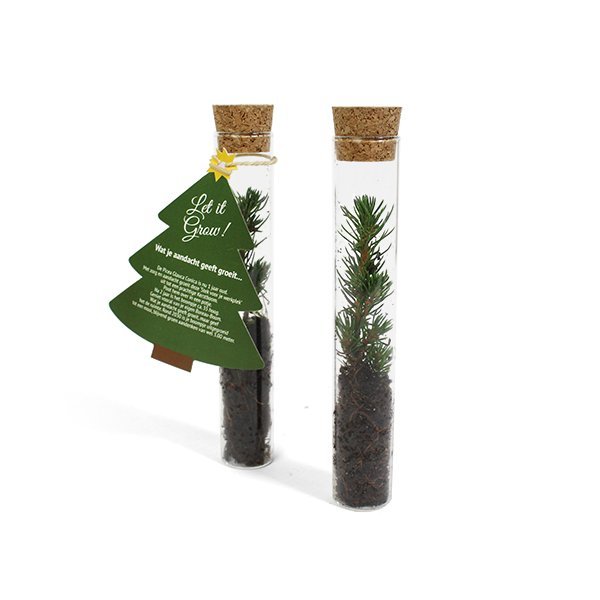 Mini kerstbomen