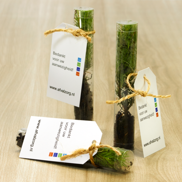 Kerstboomstekje als bedankje