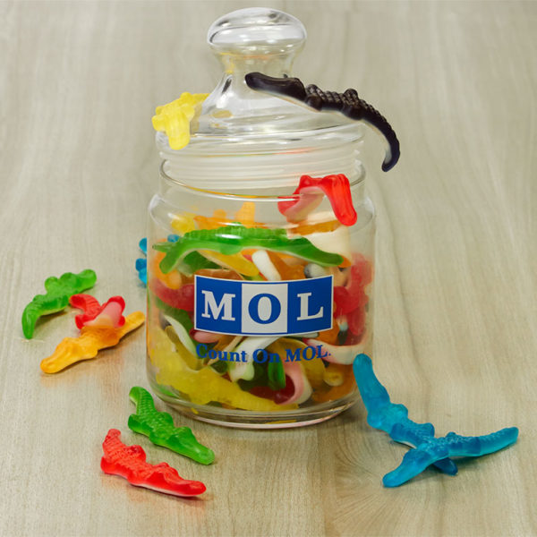 De MOL krokodillen in een snoeppot