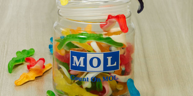 De MOL krokodillen in een snoeppot