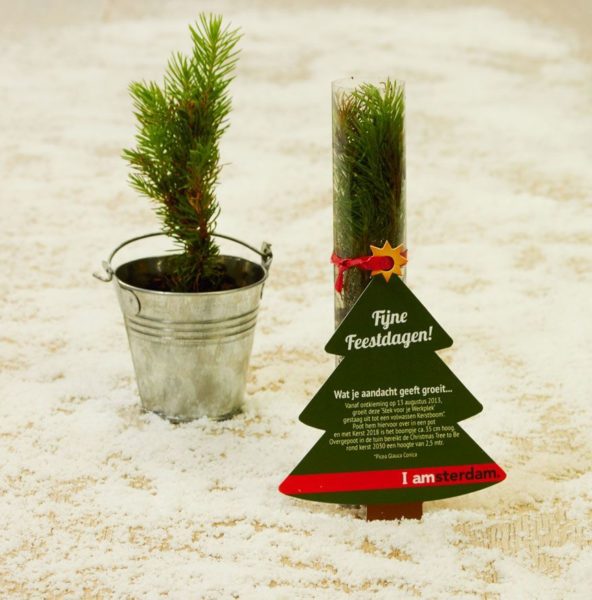 Wat je aandacht geeft groeit...