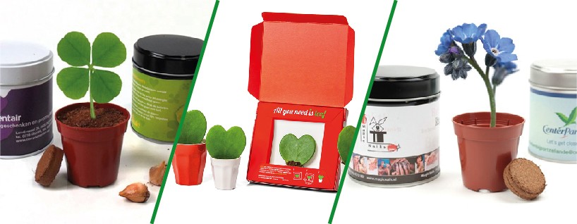 header voorjaarsgeschenken