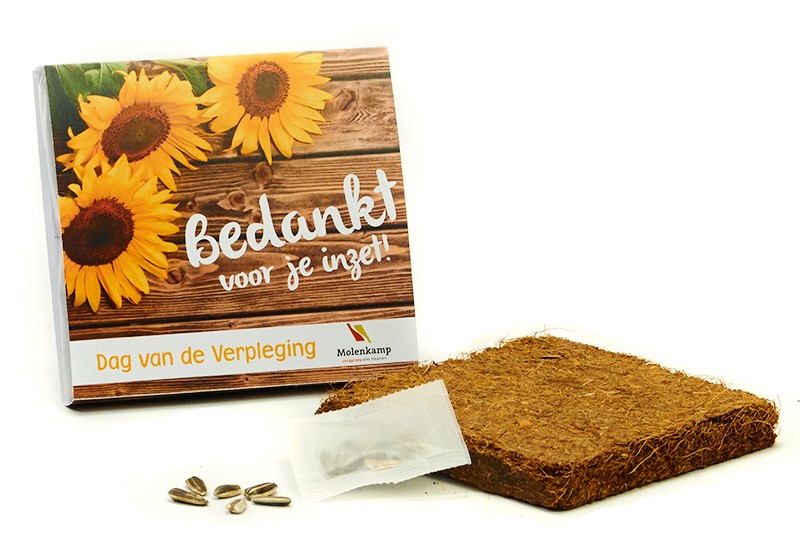 kweekreep zonnebloemen