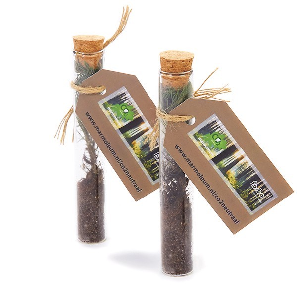 Geef groene relatiegeschenken aan je zakenpartners!