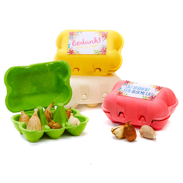 Bloembollen in eierdoosje