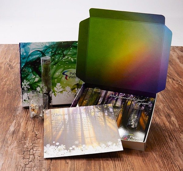 Wat je aandacht geeft groeit - Palet welzijn