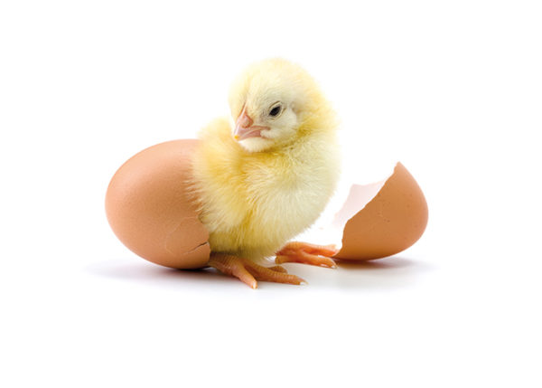 'Huilproef' voor Geluk.com