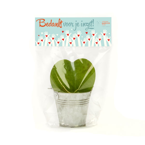 Hartleafplantje voor zorg